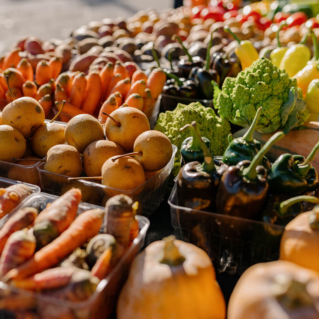 Lake Trust x Brighton Chamber (Farmers Market)